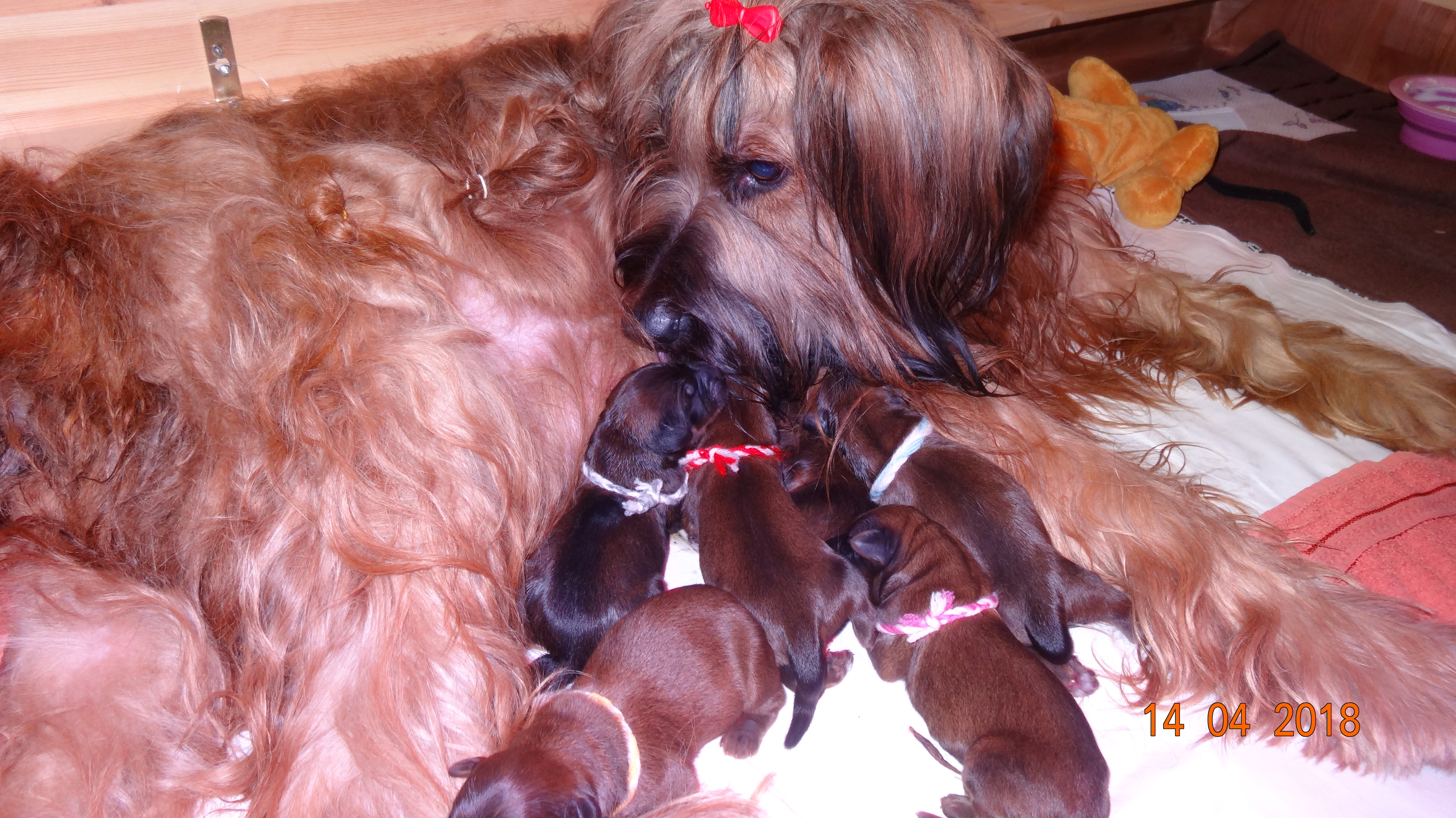 Amberlie wird von ihrer Mutti begrüßt